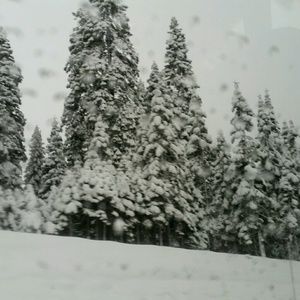 Meet your Posher, Valentina